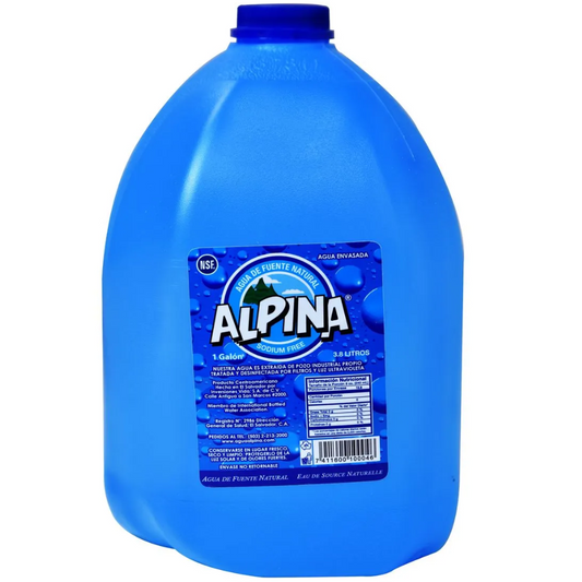 Agua ALPINA clásica - botella 1.0gal